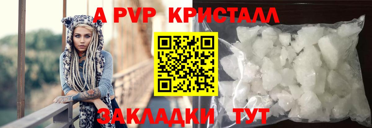 Alpha PVP СК КРИС Киров