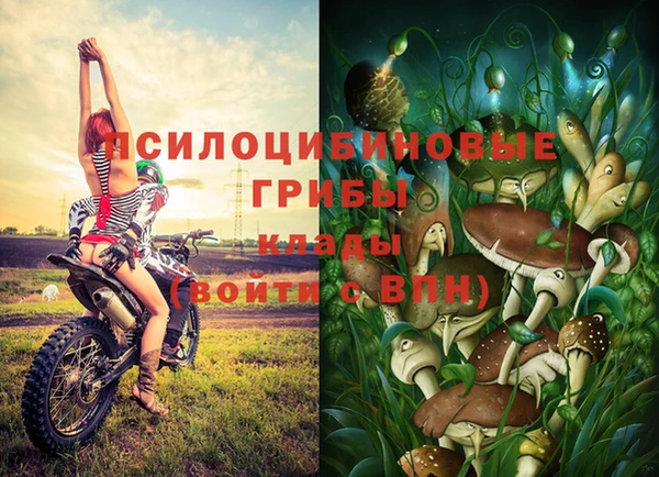 тгк Абдулино