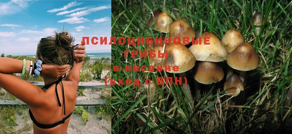 тгк Абдулино