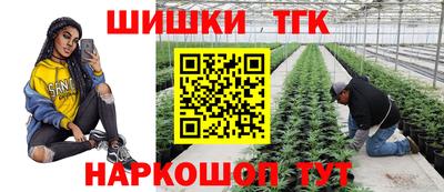 крисы Коммунар
