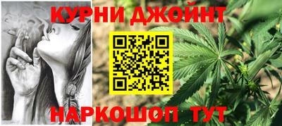 крисы Коммунар