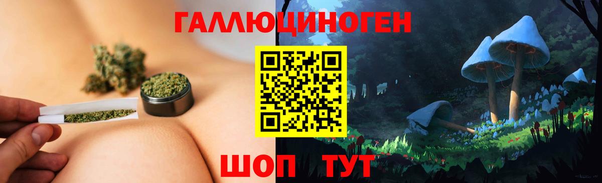Псилоцибиновые грибы Psilocybe Киров
